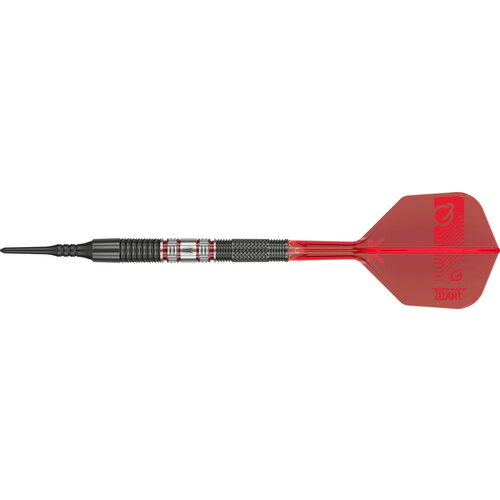 Target Target Gabriel Clemens 95K 95% Soft Tip Darts