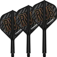 Target K-Flex Raymond van Barneveld NO2