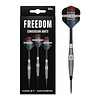 DW Original DW Harley Davidson Freedom 2 Conversion Brass Darts