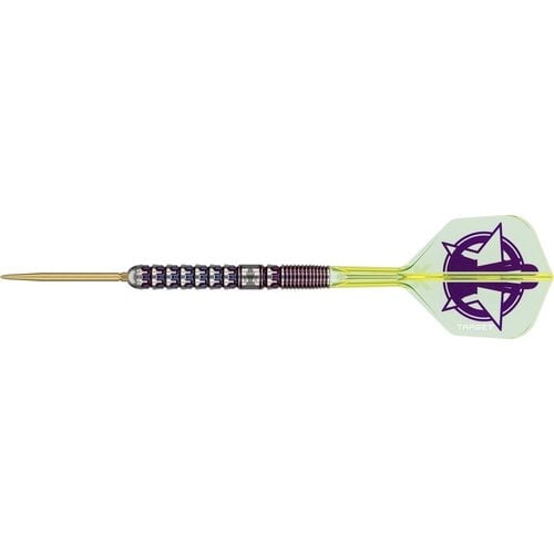 Target Target Luke Littler World Champion 2025 Swiss Point 90% Darts