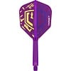 Target Target K-Flex Luke Littler World Champion 2025 NO6 Darts Flights