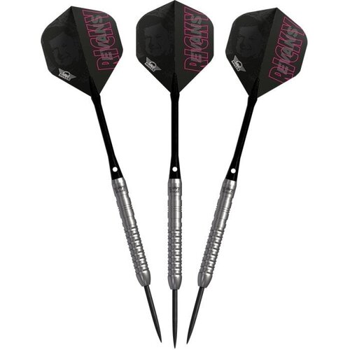 Bull's Bull's Ricky Evans E2 80% Darts
