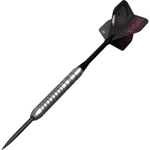 Bull's Bull's Ricky Evans E2 80% Darts