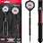 Bull's Benjamin Pratnemer 90% Darts
