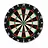 Precise180 Endorphine - Professional  Dartboard