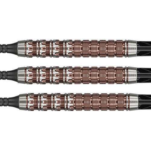 Target Japan Target Japan George Nishitani Raptor G6 90% Soft Tip Darts