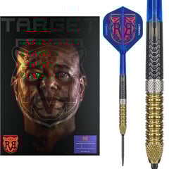 Target Raymond van Barneveld G6 Swiss Point 95%