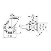 TENTE zwenkwiel RVS 100 7TPKO plaat