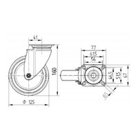 TENTE zwenkwiel RVS 125 7TPKO plaat