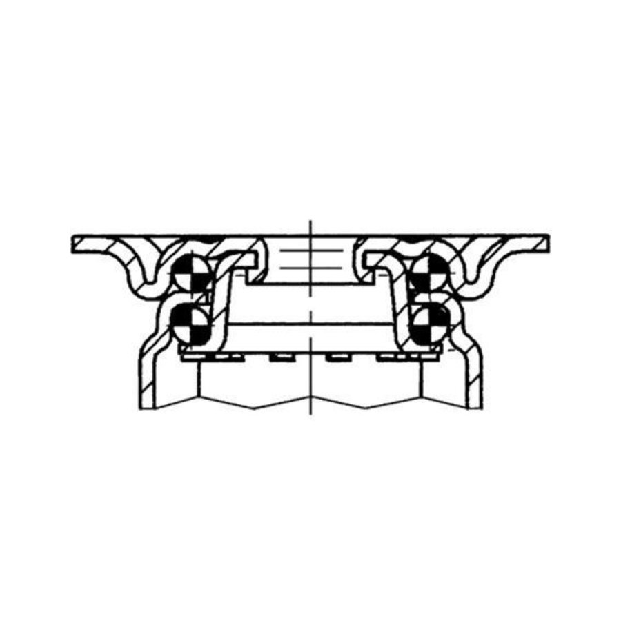 Zwenkwiel 100 black line 2TP plaat