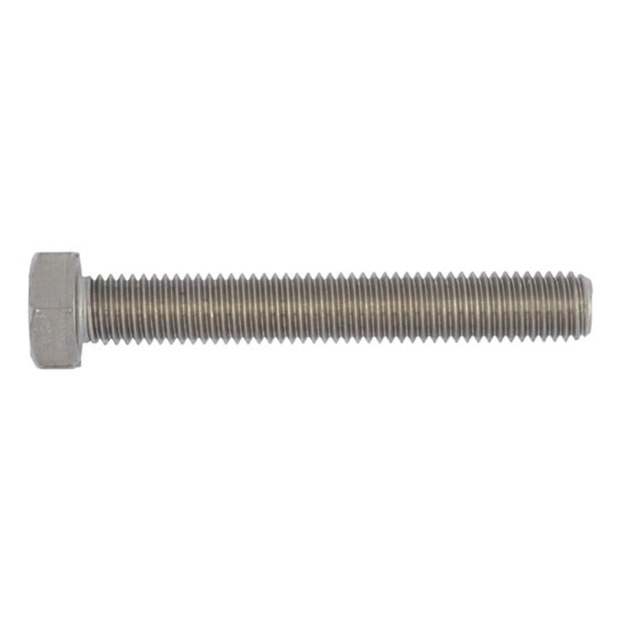 RVS Zeskanttapbout M12x70-1