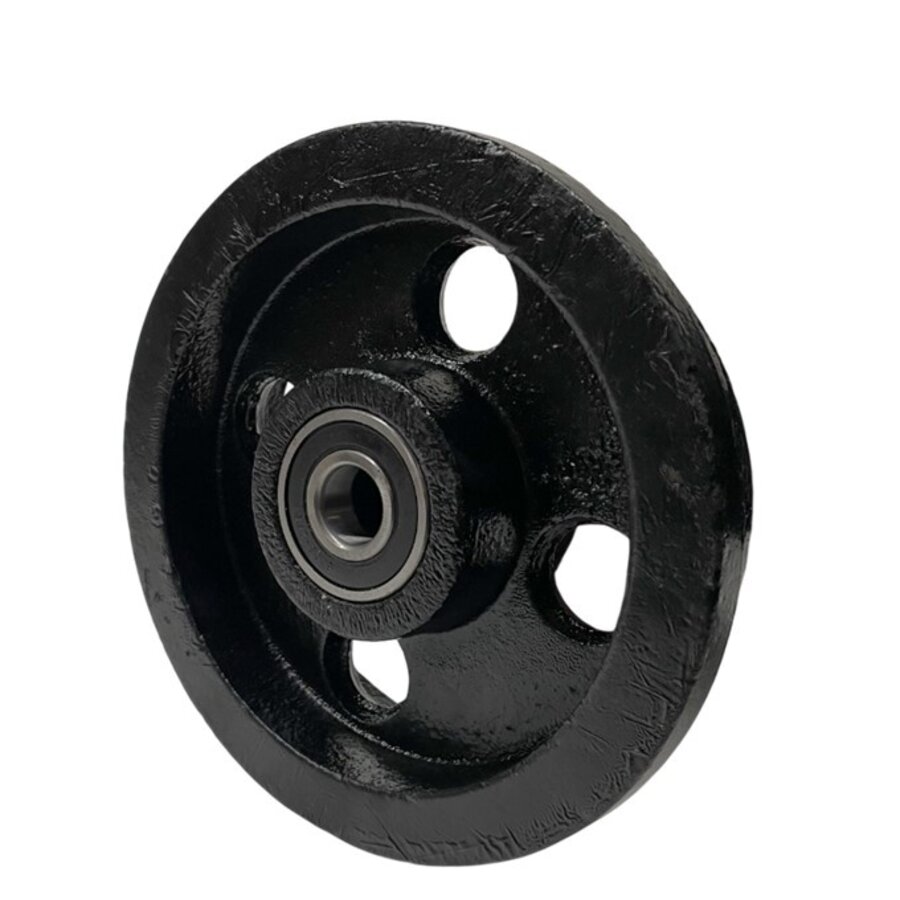 Livellö flenswiel gietijzer precisiekogellager 250x65mm-2