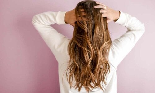 Stoelwielen die geschikt zijn tegen haren