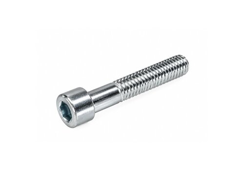 Inbusbout RVS M6x40 