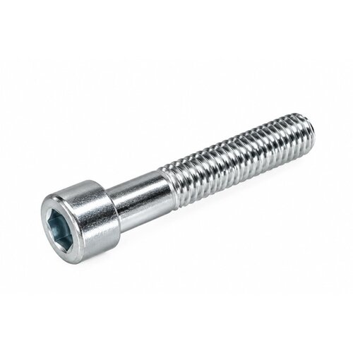 Inbusbout RVS M6x40 