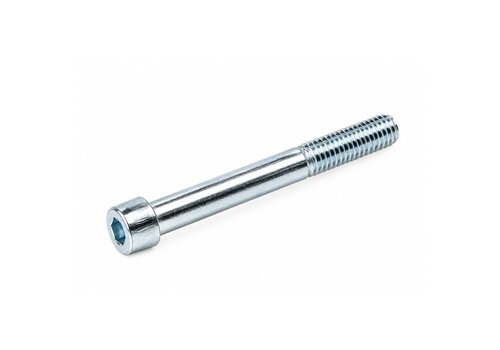 Inbusbout RVS M6x70 