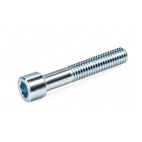 Inbusbout M6x40 verzinkt 
