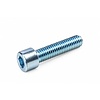 Inbusbout M10x25 verzinkt