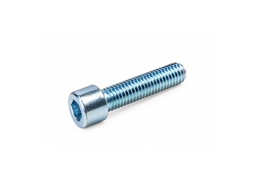 Inbusbout M10x25 verzinkt 