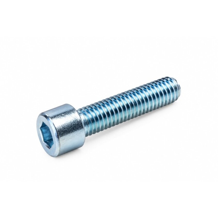 Inbusbout M10x25 verzinkt-1