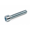 Inbusbout M10x60 verzinkt