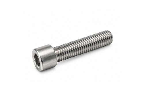 Inbusbout RVS M10x40 