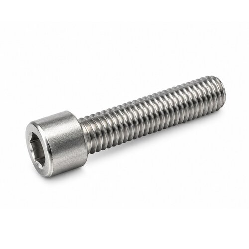Inbusbout RVS M10x40 