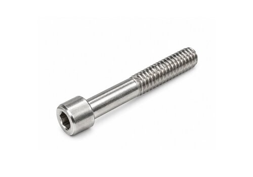 Inbusbout RVS M10x70 