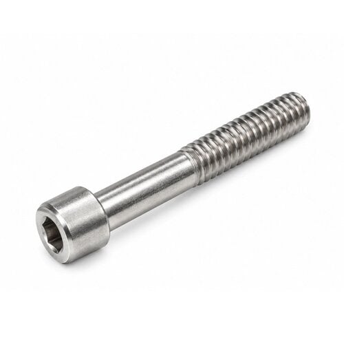 Inbusbout RVS M10x70 