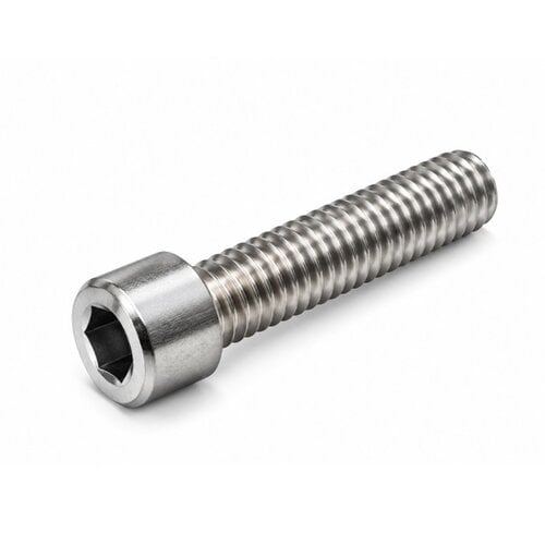 Inbusbout RVS M12x40 