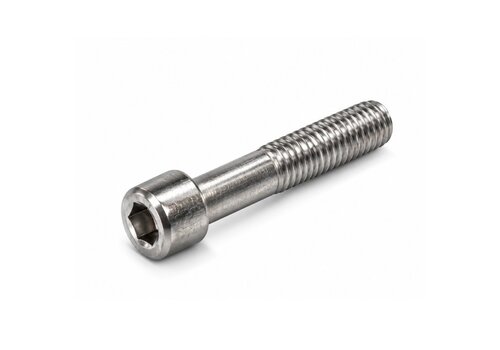 Inbusbout RVS M12x70 