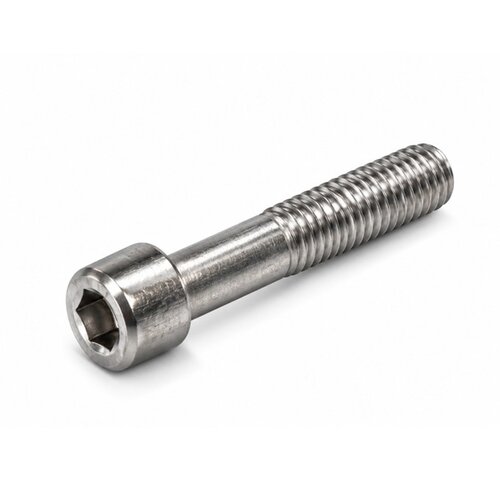 Inbusbout RVS M12x70 
