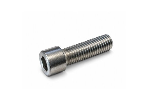 Inbusbout RVS M14x40 