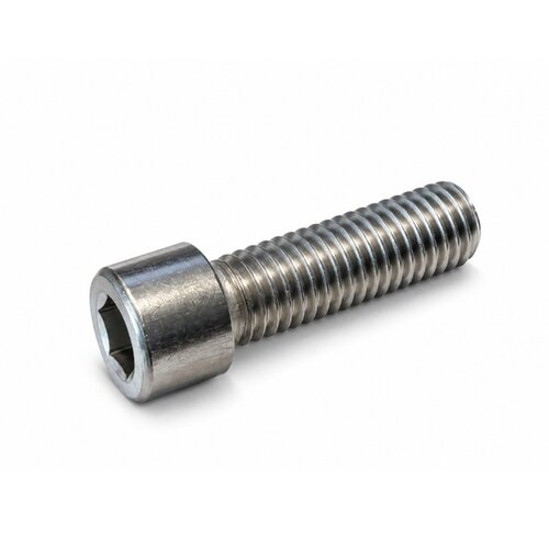 Inbusbout RVS M14x40 