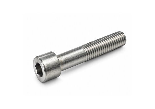 Inbusbout RVS M14x70 