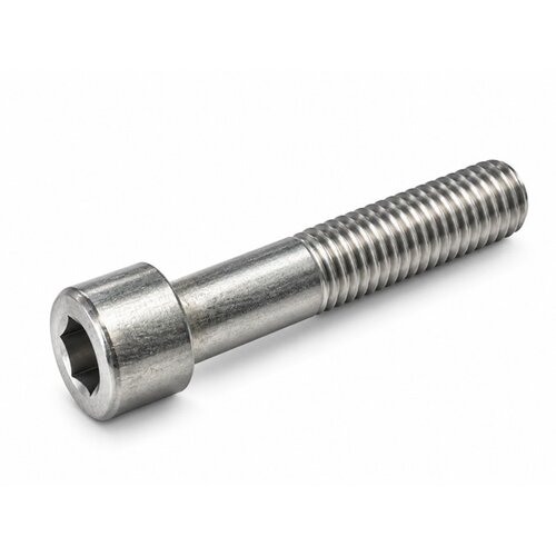 Inbusbout RVS M14x70 