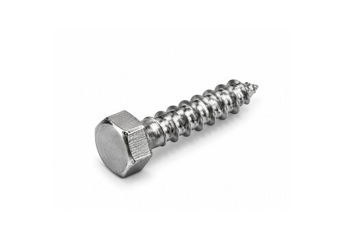 Houtdraadbout M10x50 