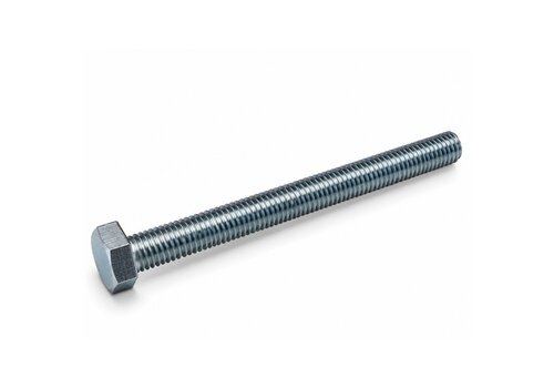 RVS Zeskanttapbout M6x70 