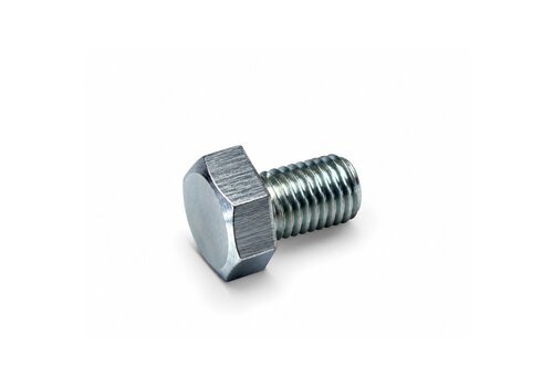 RVS Zeskanttapbout M10x16 