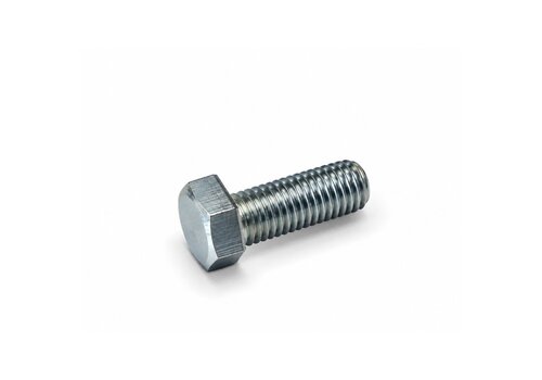RVS Zeskanttapbout M10x25 