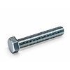 RVS Zeskanttapbout M10x70