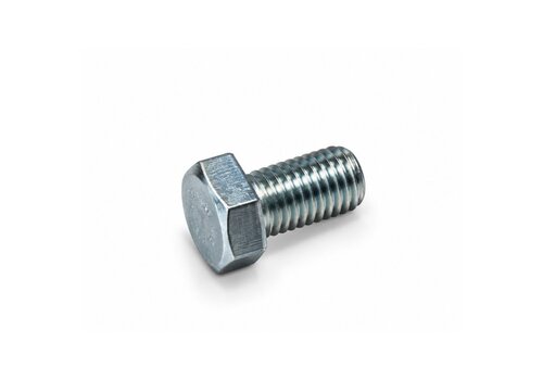 RVS Zeskanttapbout M12x20 
