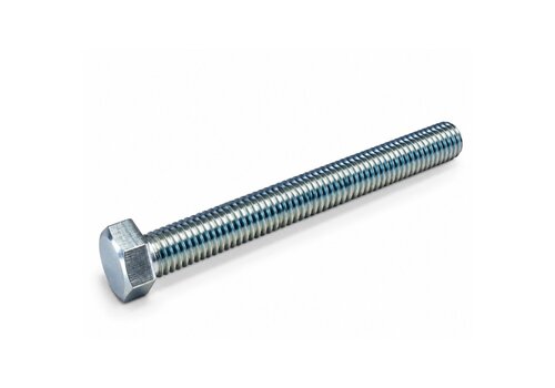 RVS Zeskanttapbout M12x100 