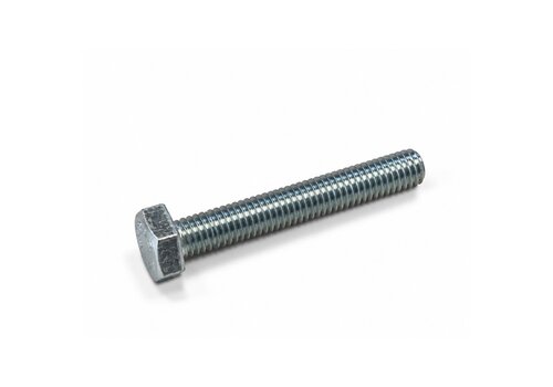 Zeskanttapbout M10x70 