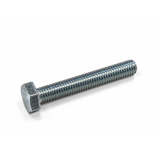 Zeskanttapbout M10x70 