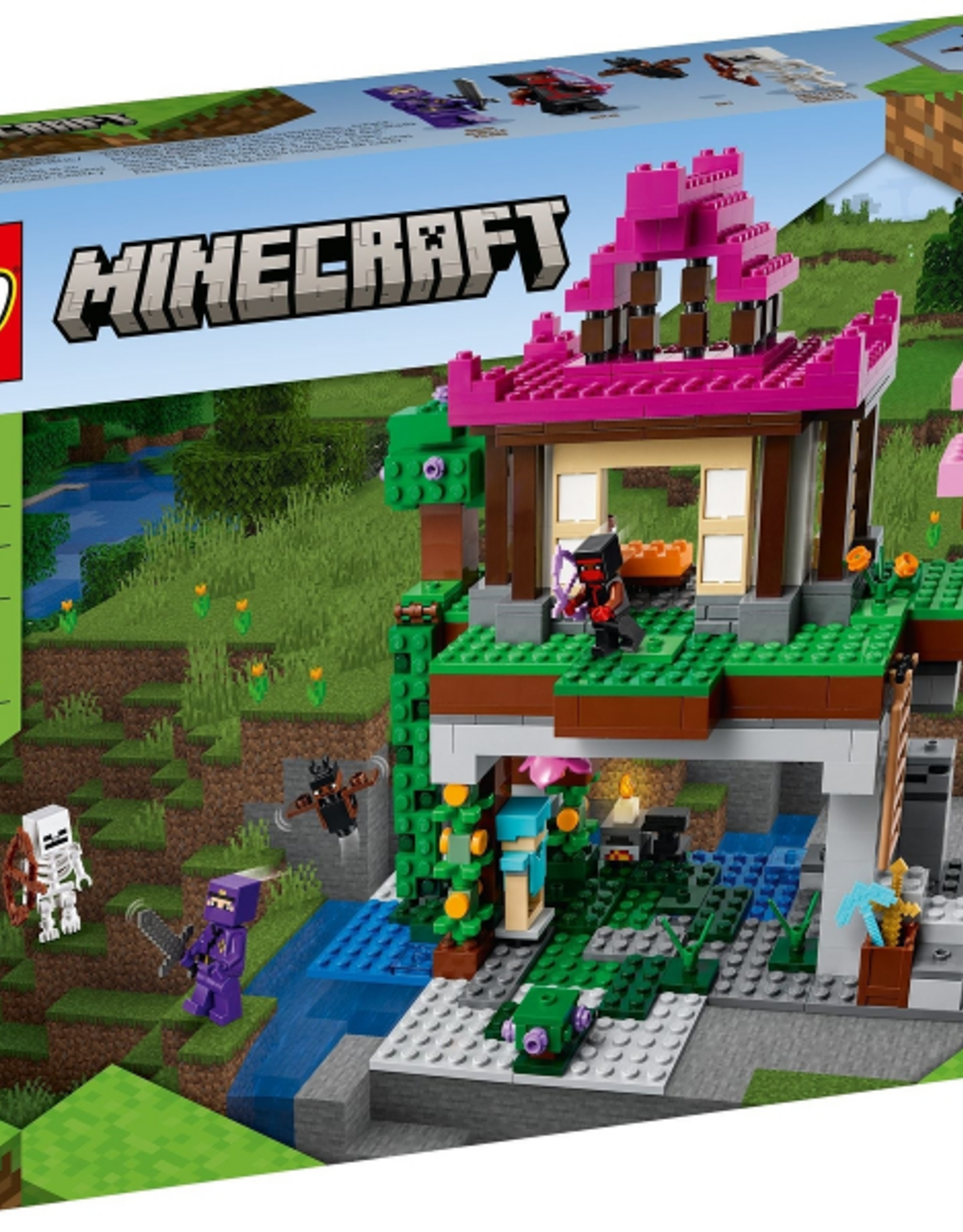 LEGO LEGO 21183 The Training Grounds MINECRAFT