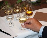 Whisky proeverij thuis? Bekijk onze mogelijkheden