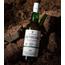 Laphroaig 10 Years Single Malt