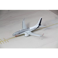 1:200 Netherlands Government B737-700 BBJ - Flaps Down