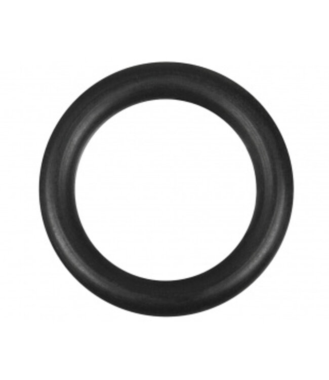 Hot Spring sensor o-ring